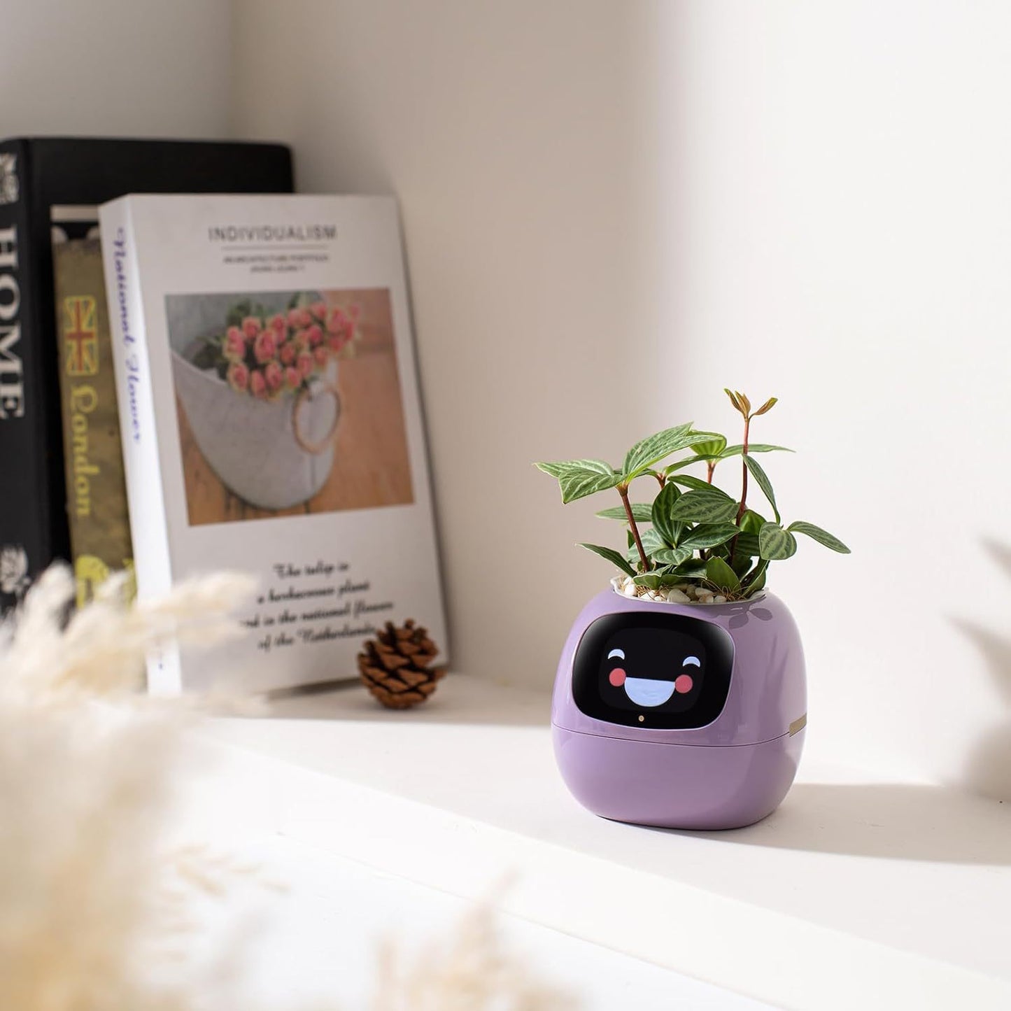Smart flower POTS for smart pet cultivation