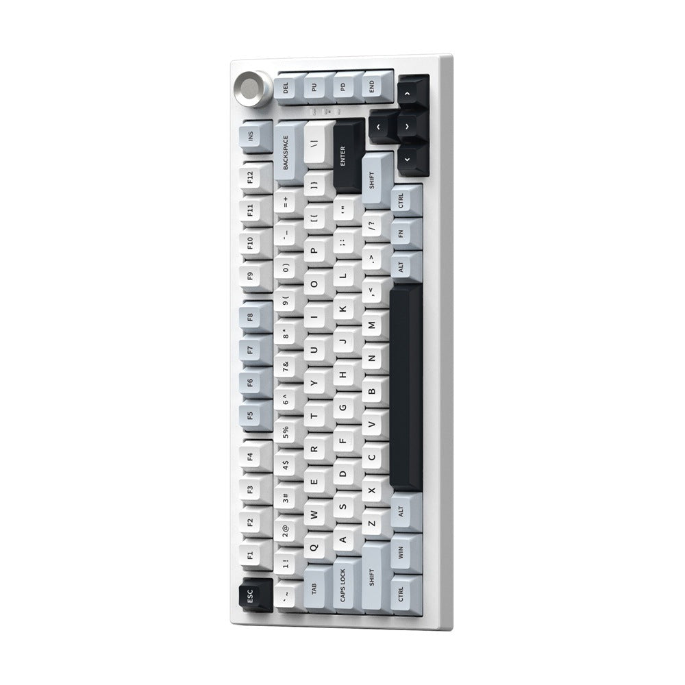 JP K81 Triple Mode RGB Side-Engraved PBT Mechanical Keyboard. Dynamic RGB backlighting with multiple effects enhances the aesthetic and gaming atmosphere