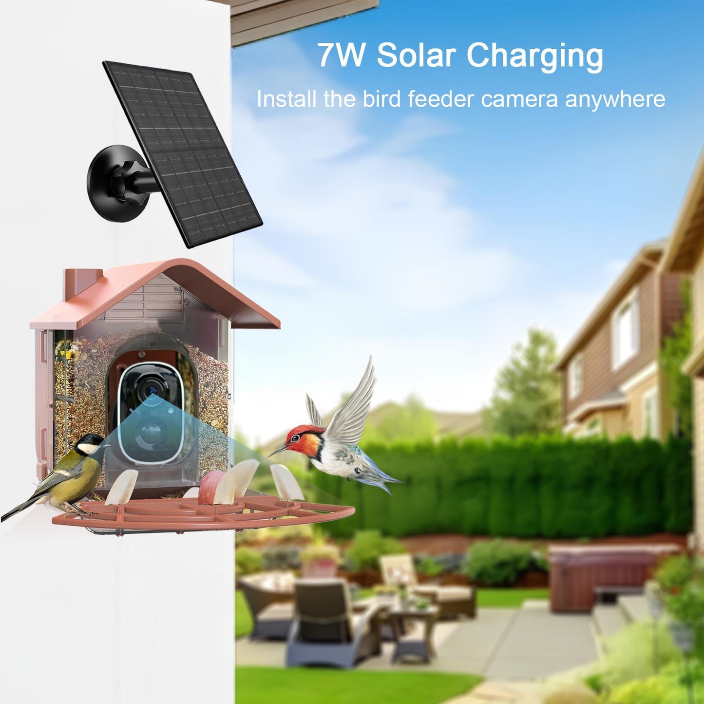 Smart Solar Bird Feeder with Camera, AI Recognition - Smart bird feeder with AI technology for accurate bird detection, Eco-friendly solar panel, Built-in camera, Large Capacity, Durable construction suitable for outdoor use