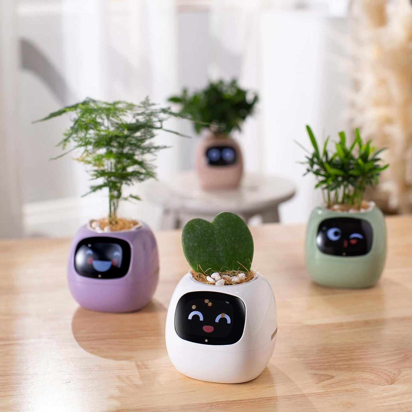 Smart flower POTS for smart pet cultivation