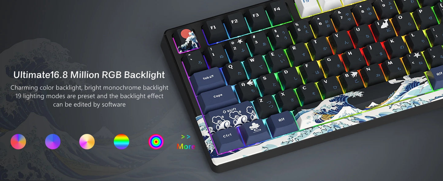 WIRED MECHANICAL GAMING KEYBOARD 81 Keys OLED DISPLAY KEY HOT SWAP Attack Shark