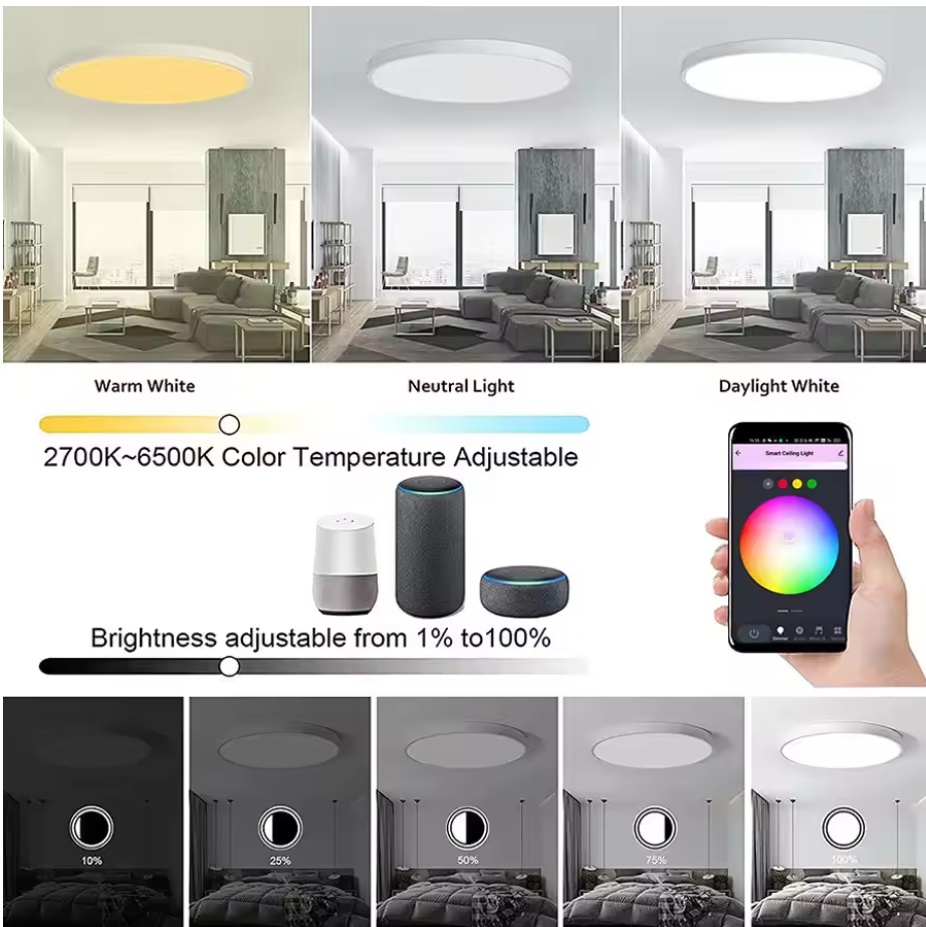 Tuya Smart WiFi Bluetooth LED Ceiling Light 24W | RGB + Warm & Cool White | APP & Voice Control with Alexa & Google