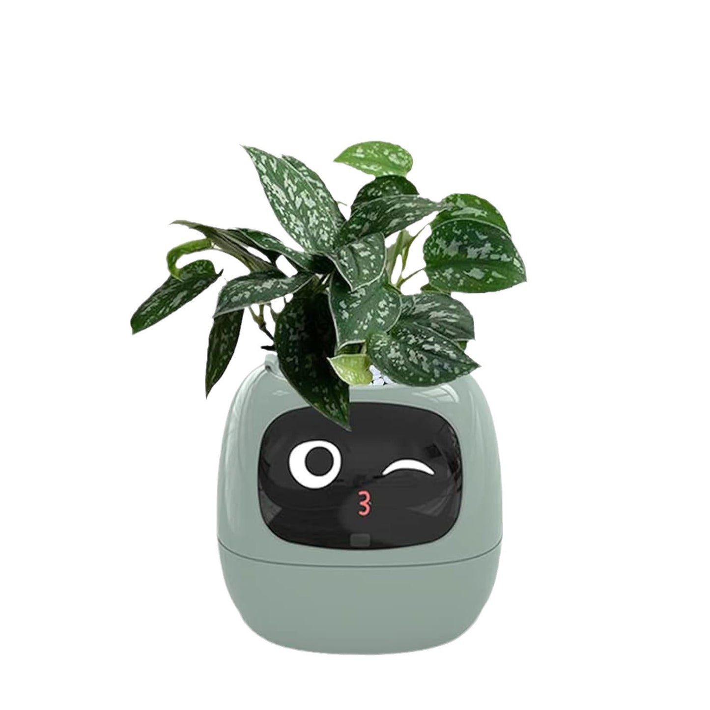 Smart flower POTS for smart pet cultivation