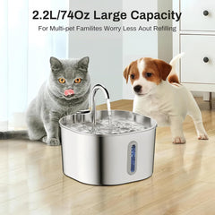 Stainless Steel Pet Water Dispenser with Filtration