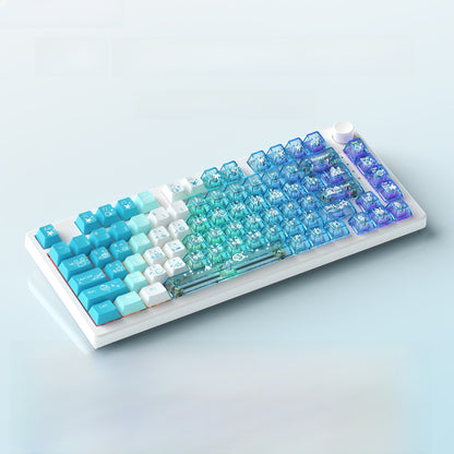Ruiyi F75 Wireless Mechanical Keyboard