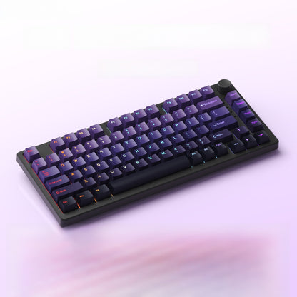 Ruiyi F75 Wireless Mechanical Keyboard
