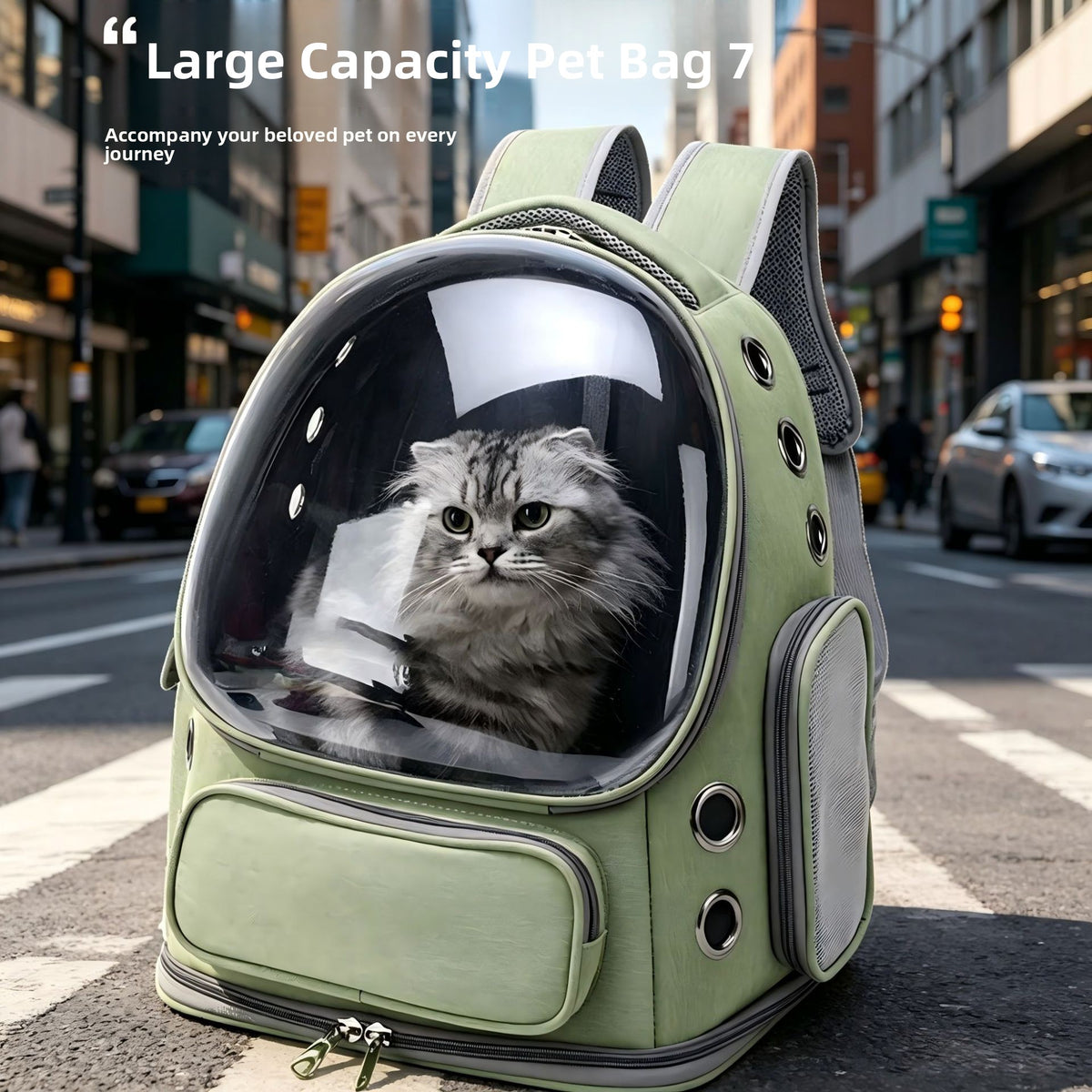 Transparent Pet Travel Backpack Breathable Comfort Lightweight