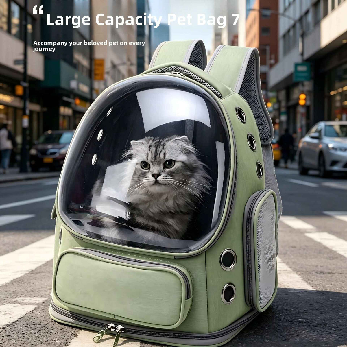 Transparent Pet Travel Backpack Breathable Comfort Lightweight