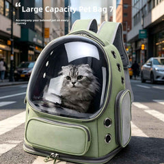 Transparent Pet Travel Backpack Breathable Comfort Lightweight