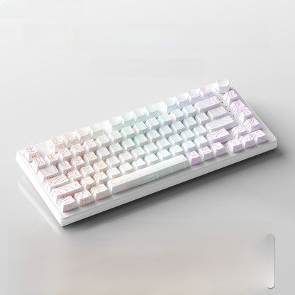 Ruiyi F75 Wireless Mechanical Keyboard