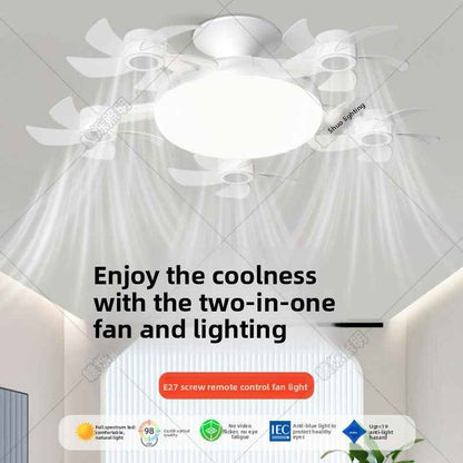 Chill Breeze Ceiling Fan