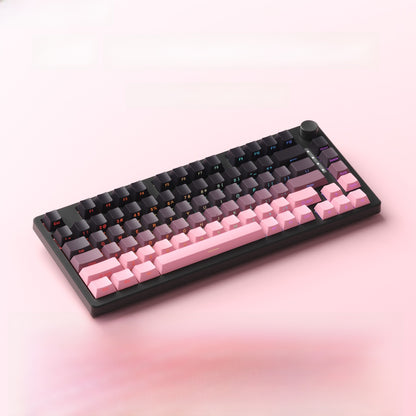 Ruiyi F75 Wireless Mechanical Keyboard