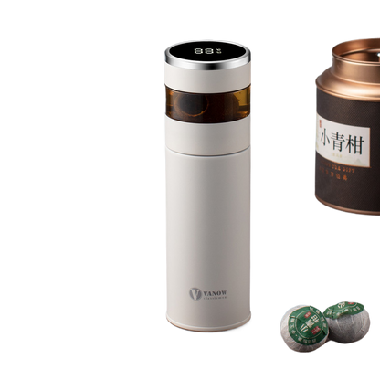 Smart Temperature Display Vacuum Insulated Cup with Tea Strainer