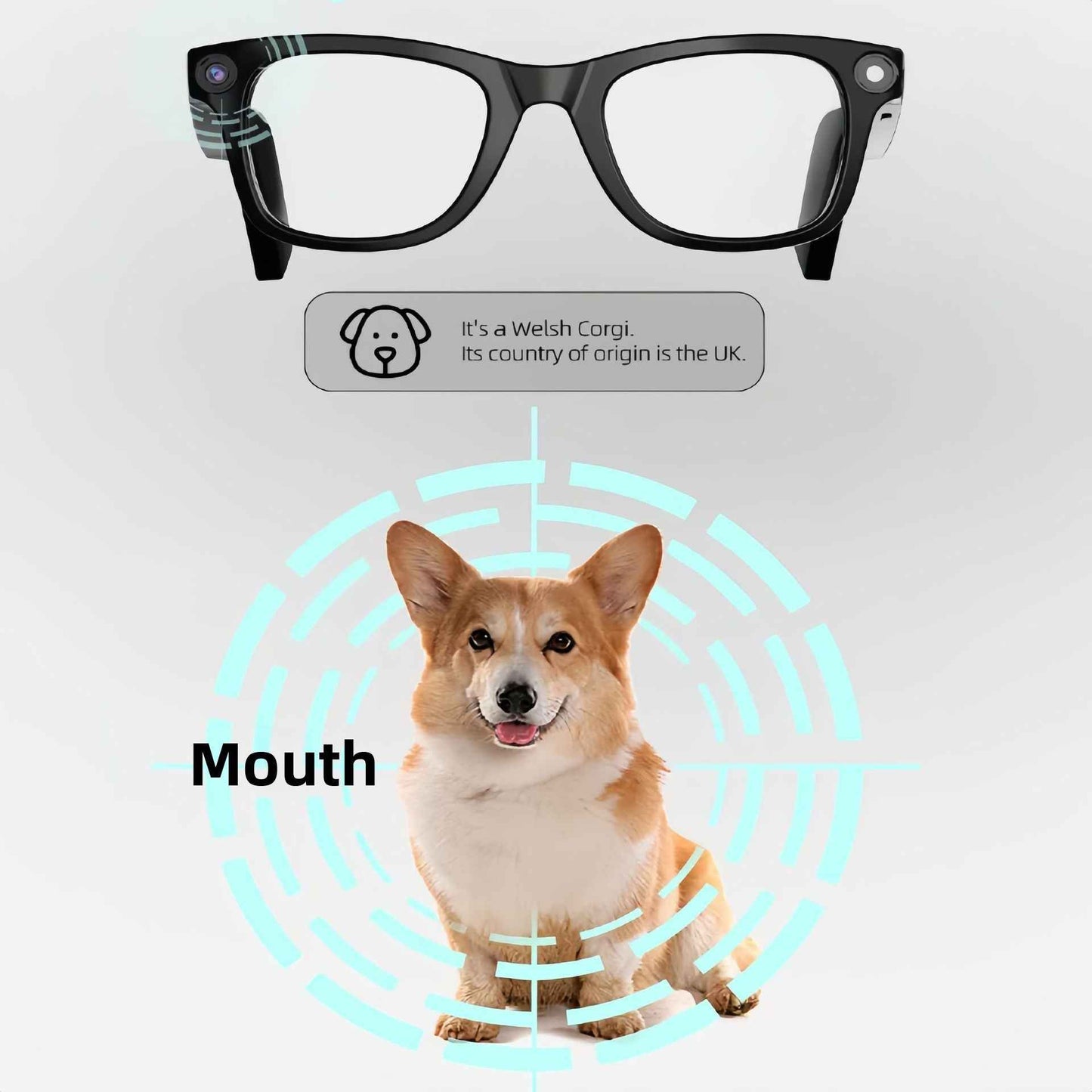 Smart Glasses with Camera AI Translation Bluetooth