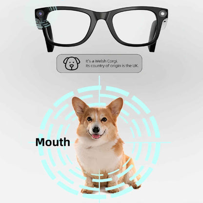 Smart Glasses with Camera AI Translation Bluetooth