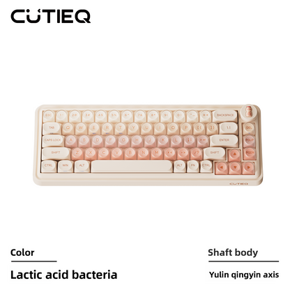 Portable Wireless Mechanical Keyboard Aesthetic Appeal Silent
