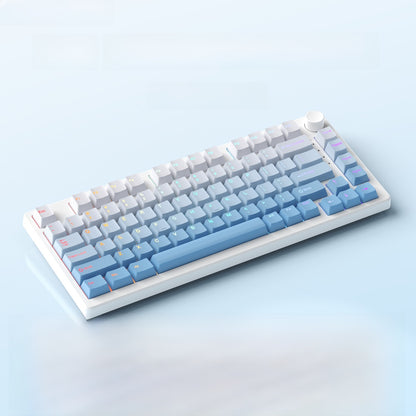Ruiyi F75 Wireless Mechanical Keyboard