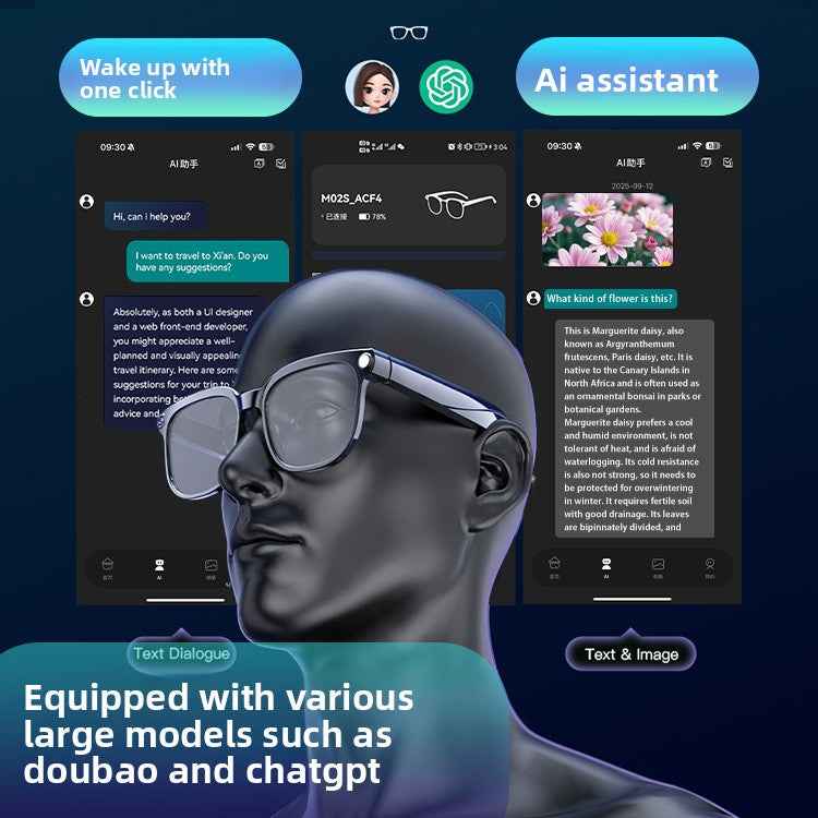 AI Smart Glasses with Camera and Translation