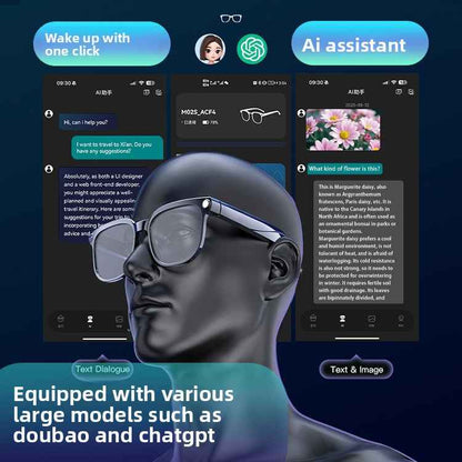 AI Smart Glasses with Camera and Translation