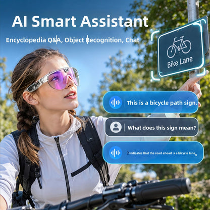 AIMB-G5MAX Smart Glasses with AI Translation and HD Camera