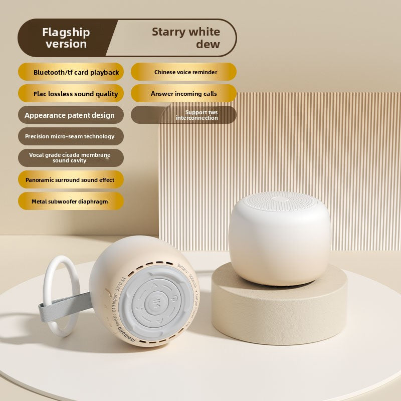 Smart Bluetooth Speaker AI Control Battery Powered