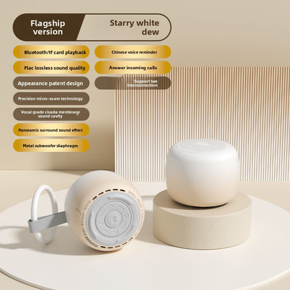 Smart Bluetooth Speaker AI Control Battery Powered