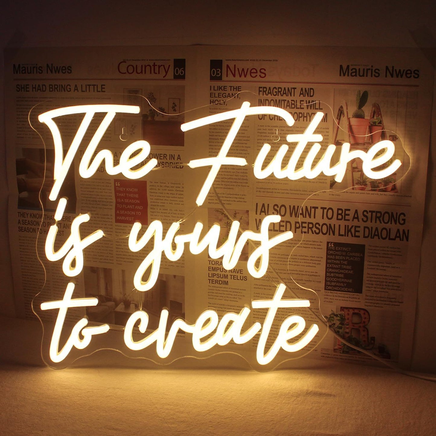 Custom LED Neon Sign for Decoration