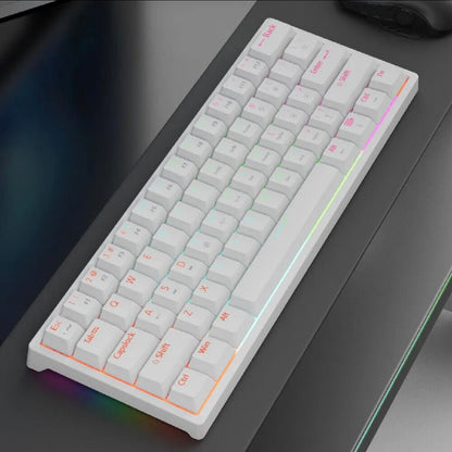 MK61 Wired Gaming Mechanical Keyboard, Compact 61 Keys: 60% layout, Hot-Swappable Switches, RGB Backlit: Fully customizable RGB lighting, FPS Gamer Friendly,