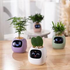 Ivy Smart plants pot, Equipped with 7 smart sensors and Ai chip for intelligent plant care, Interactive Design - Multiple expressions for engaging user interaction, Durable Material, Glow Effect, Home Gardening