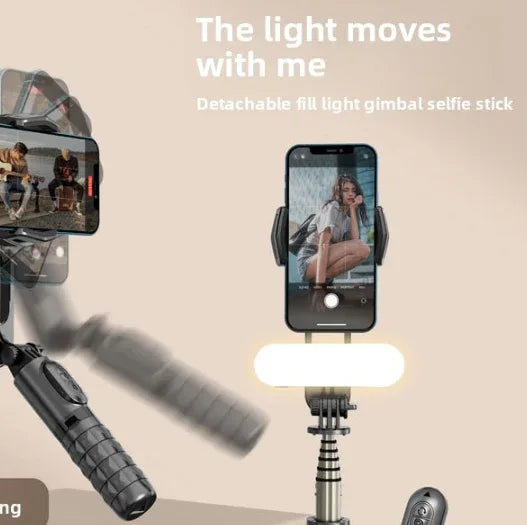 gimbal stabilizer - ZeeTec Store