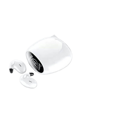 Wireless Bluetooth Earbuds with Charging Case