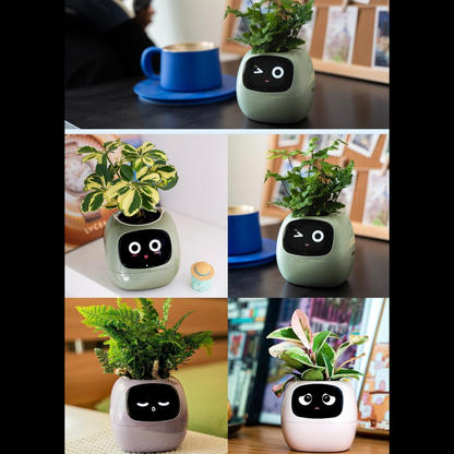 Ivy Smart plants pot, Equipped with 7 smart sensors and Ai chip for intelligent plant care, Interactive Design - Multiple expressions for engaging user interaction, Durable Material, Glow Effect, Home Gardening