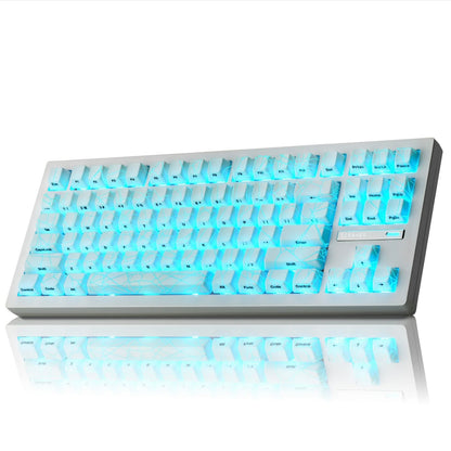 Zornher ZH870 Wireless Gaming Keyboard Three-Mode Full-Key Hot-Swappable - ZeeTec Store