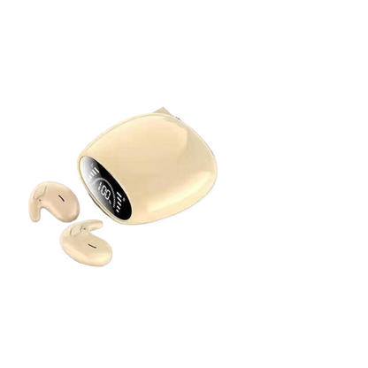 Wireless Bluetooth Earbuds with Charging Case
