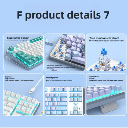Tarantula F3587 Mechanical Keyboard - Wired Performance for Gamers