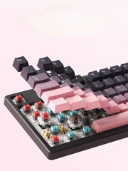 Ruiyi F75 Wireless Mechanical Keyboard