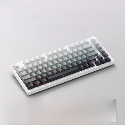 Ruiyi F75 Wireless Mechanical Keyboard