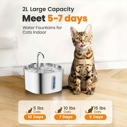Stainless Steel Pet Water Dispenser with Filtration