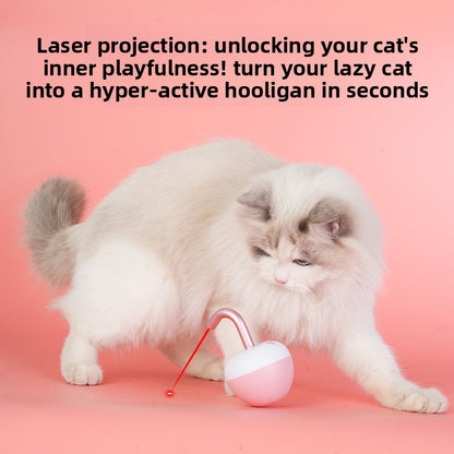 Interactive Smart Pet Toy Automatic Operation