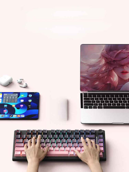 Ruiyi F75 Wireless Mechanical Keyboard