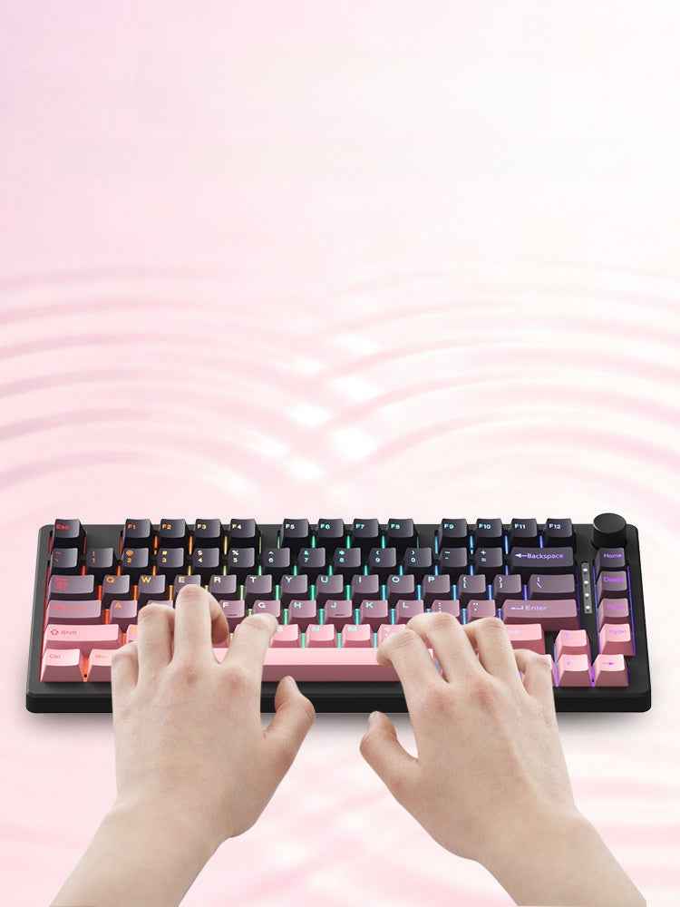 Ruiyi F75 Wireless Mechanical Keyboard