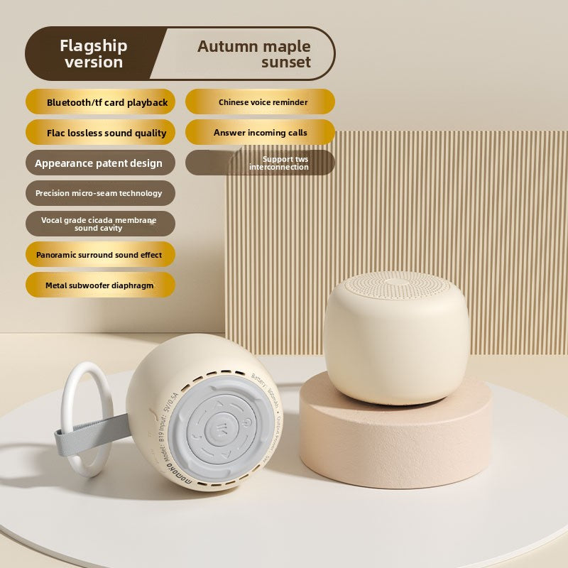 Smart Bluetooth Speaker AI Control Battery Powered