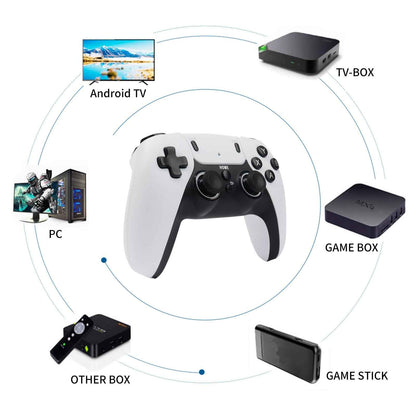 Wireless Dual Game Controller for TV PC