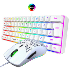 Wired Gaming Keyboard & Mouse Bundle, Wired Keyboard 61 Keys RGB Multimedia Keys Tactile Typing Feel, Wired Mouse 6 Programmable Buttons RGB Lighting Adjustable 6400 DPI Plug & Play